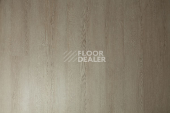 Tarkett Funky House Ricon фото 9 | FLOORDEALER